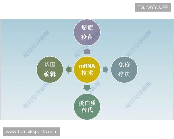 切尔西计划与国际医疗机构合作优化康复流程：打造未来康复新蓝图